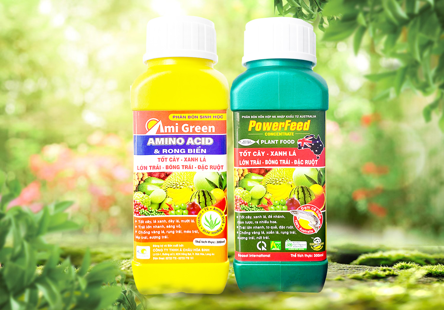 AMI GREEN & POWERFEED 